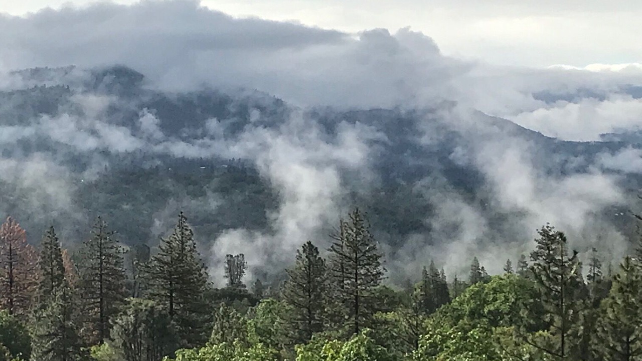 Photo of Others in Wishon
