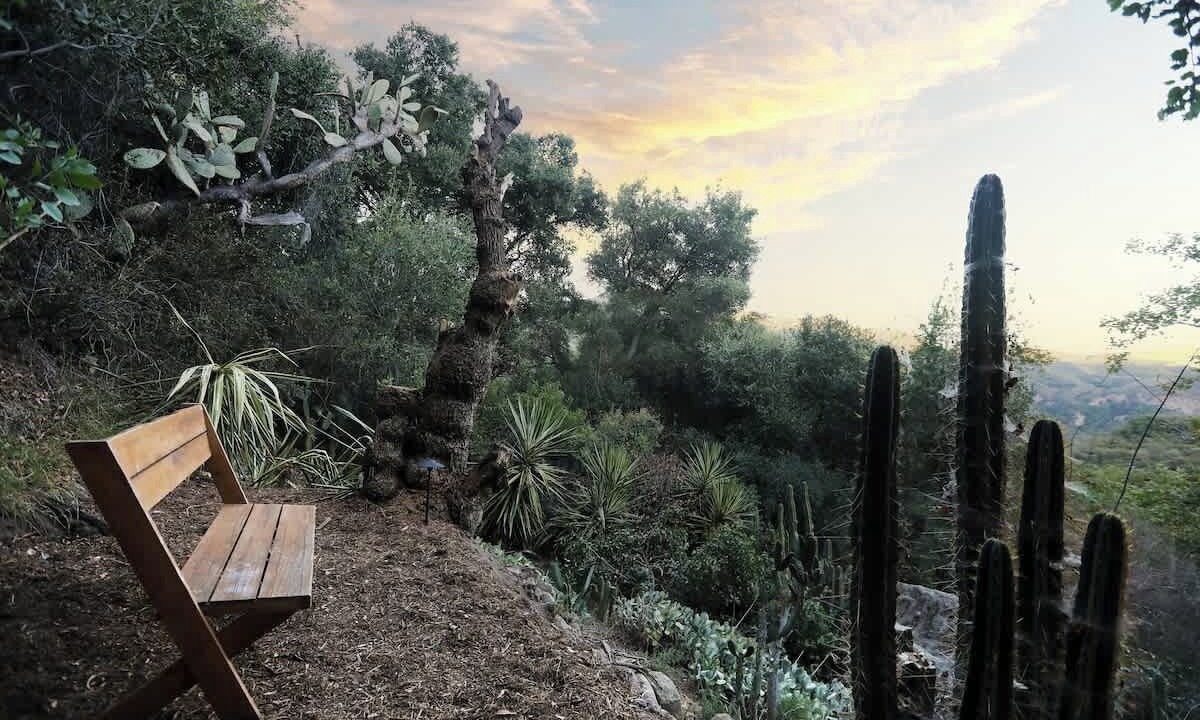 Photo of Outdoor in Fernwood