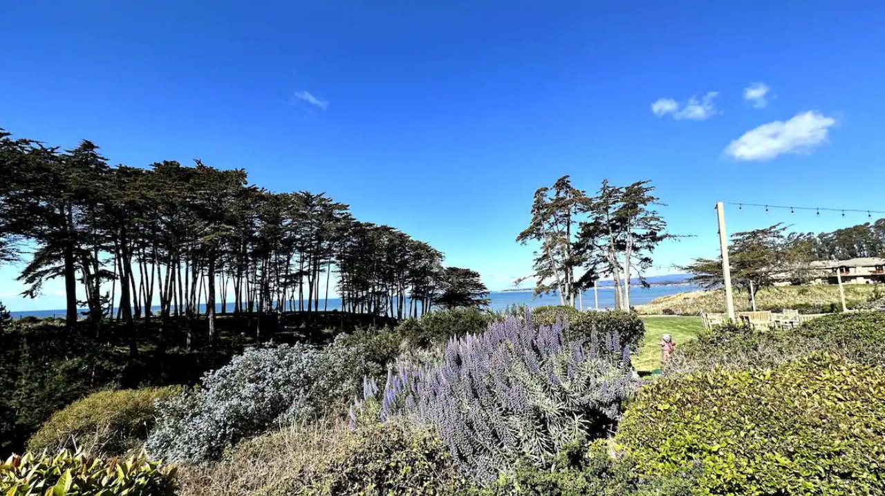 Photo of Others in Rio del Mar
