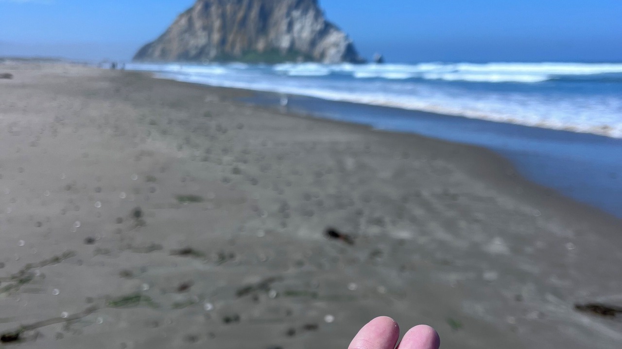 Photo of Others in Morro Bay