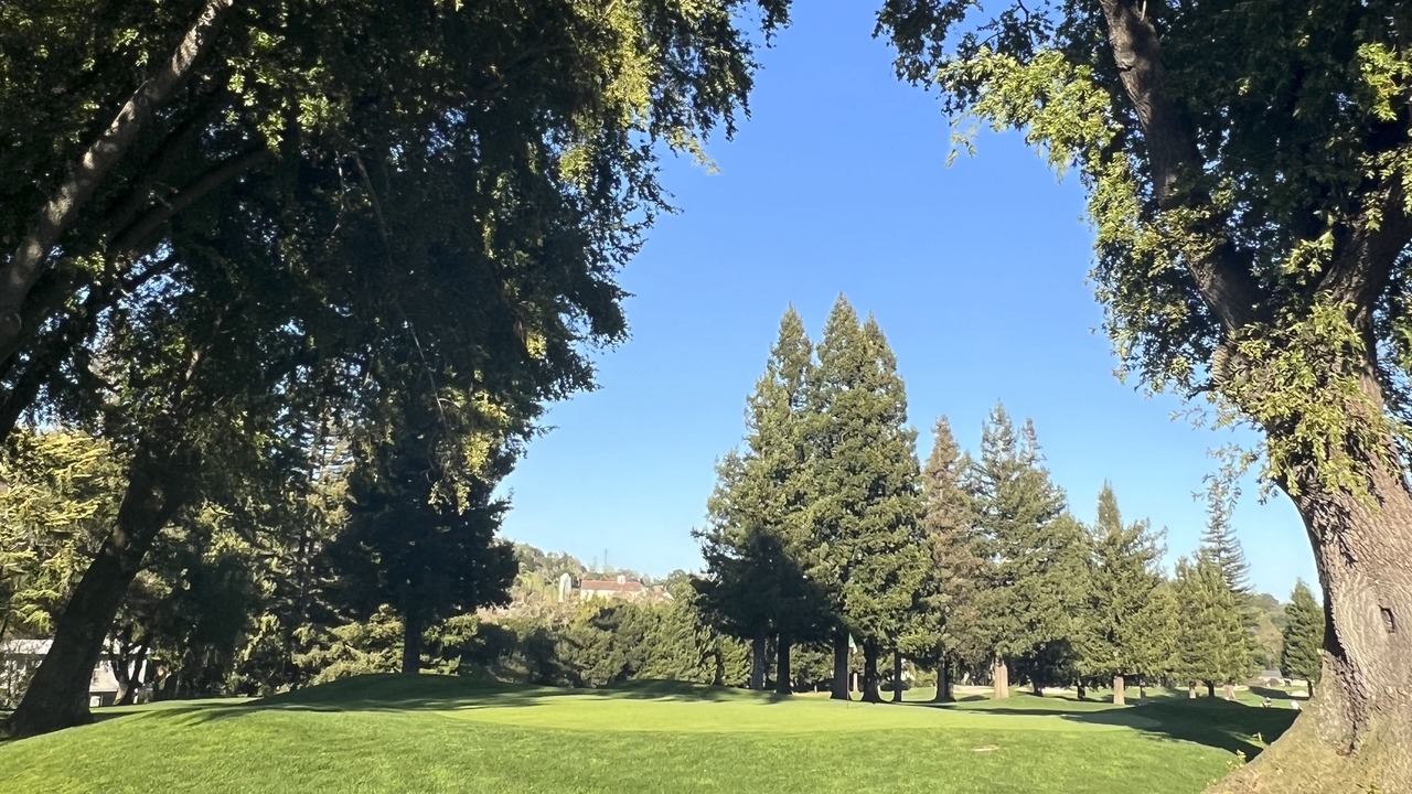 Photo of Others in Novato