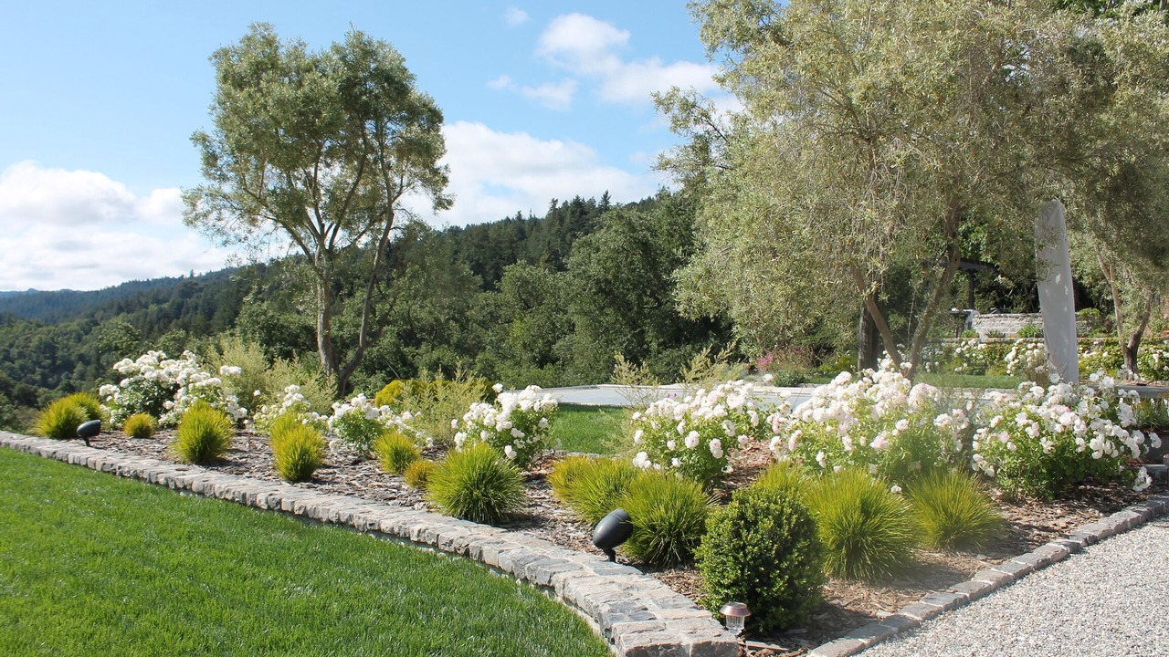 Photo of Outdoor in Los Gatos