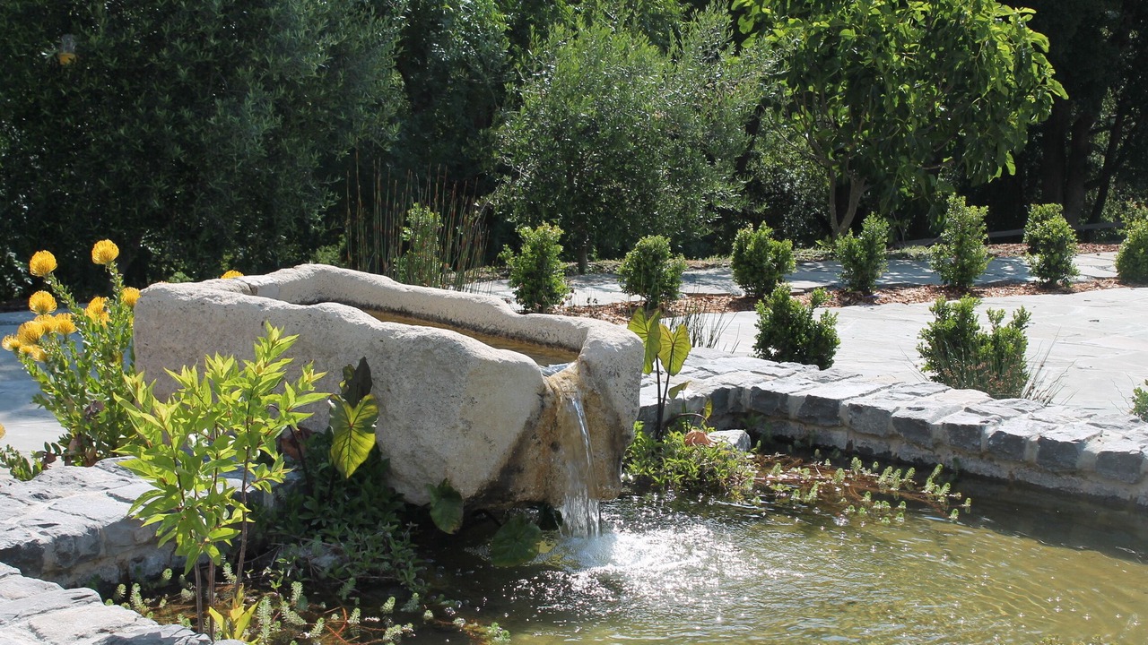 Photo of Outdoor in Los Gatos