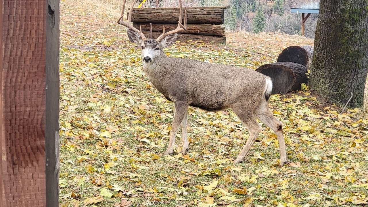 Photo of Others in Camp Nelson
