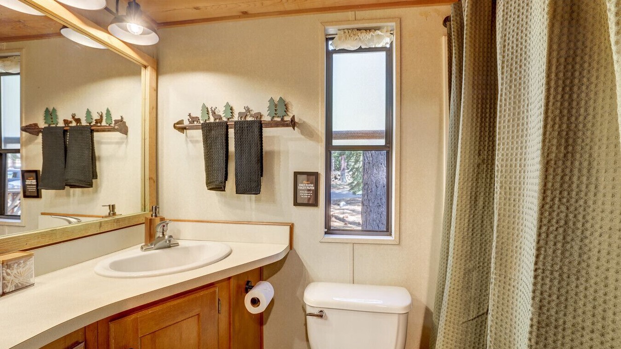 Photo of Bathroom in Tahoe Valley