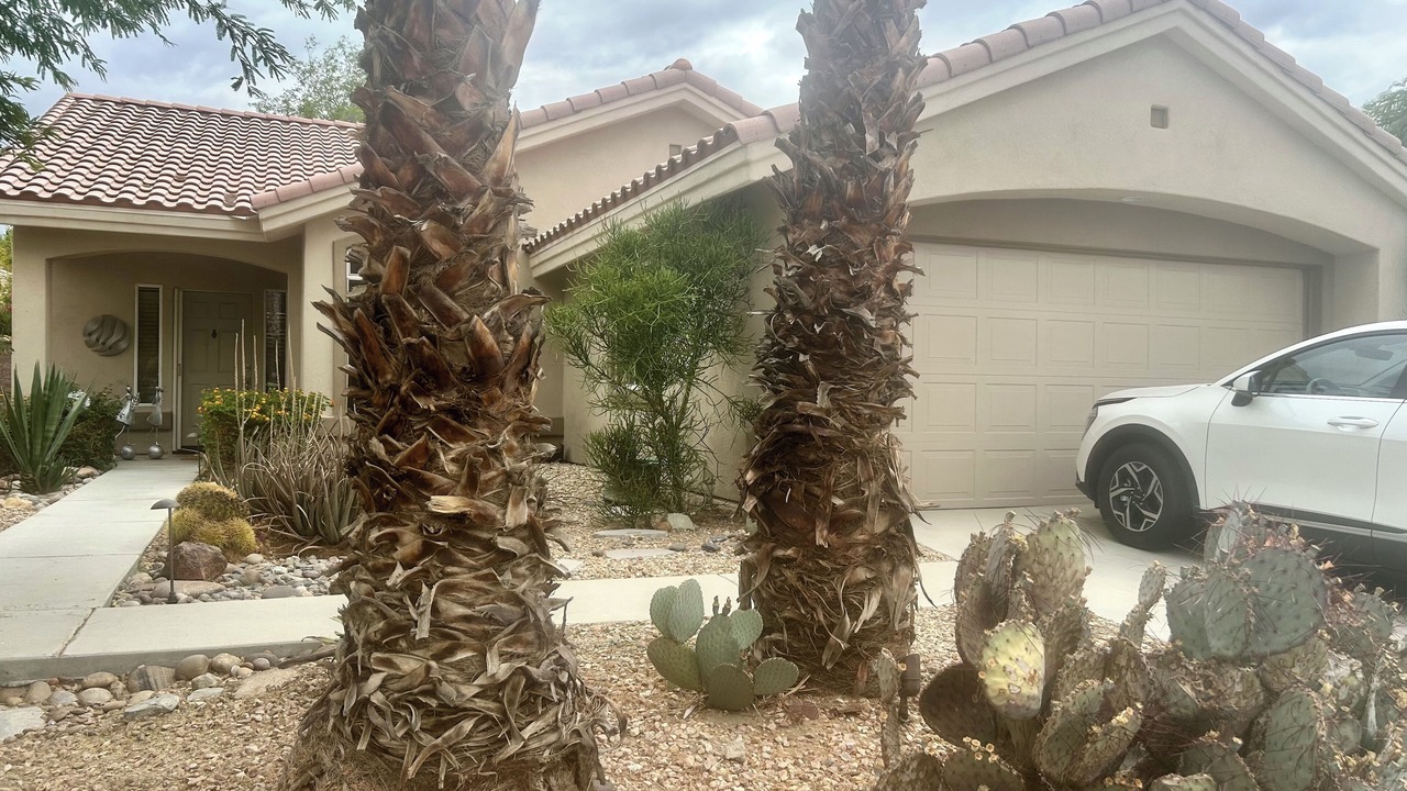 Photo of Outdoor in Desert Palms