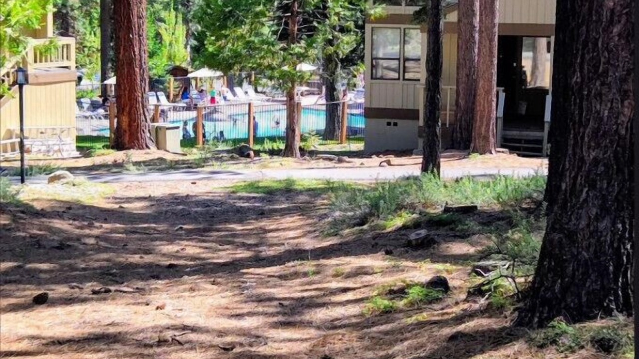 Photo of Outdoor in Kings Beach
