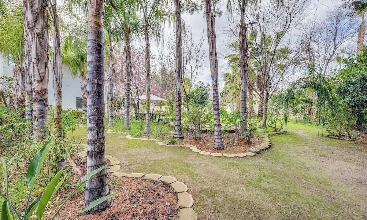 Photo of Outdoor in Raisin