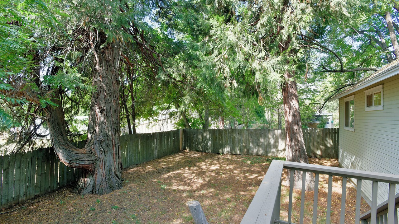 Photo of Others in Mount Shasta