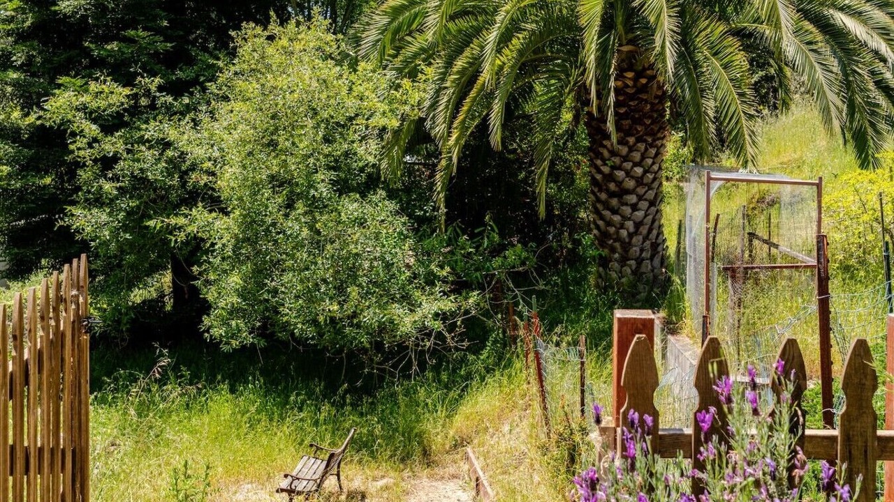 Photo of Outdoor in Aptos
