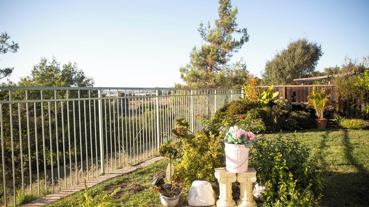 Photo of Outdoor in Castro Valley