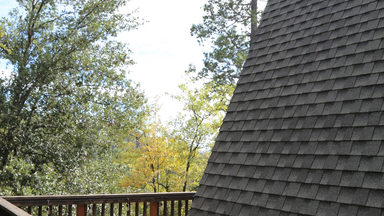 Photo of Outdoor in Bass Lake