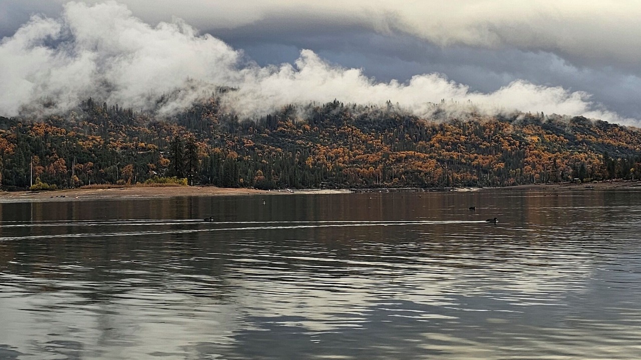 Photo of Others in Bass Lake