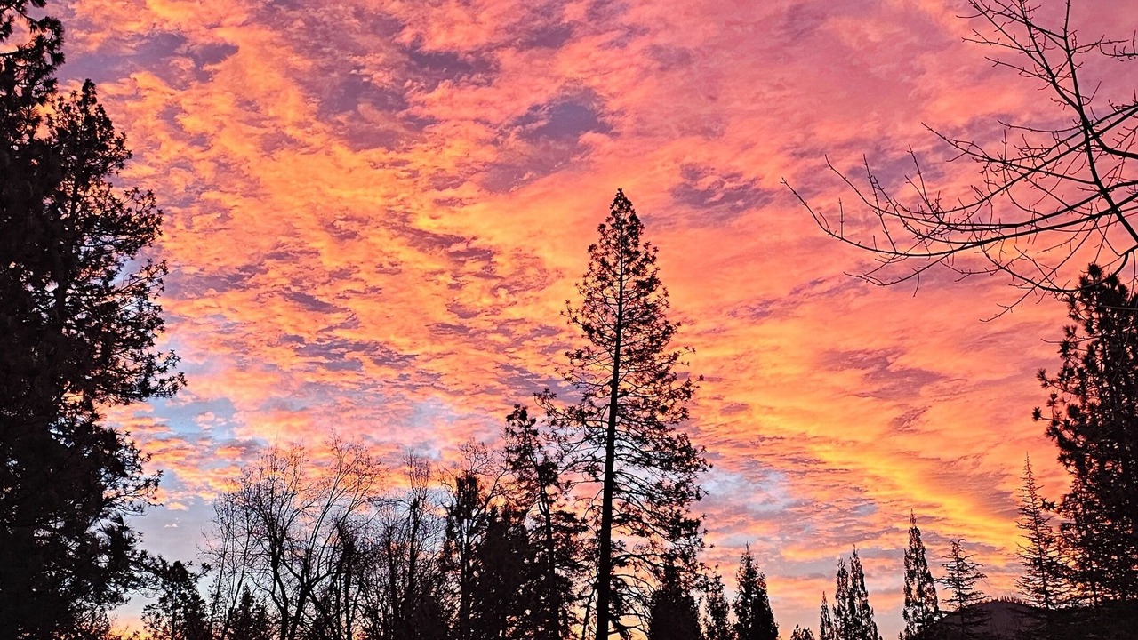 Photo of Outdoor in Bass Lake