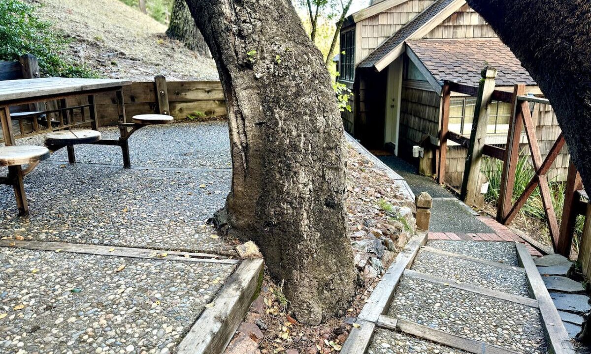 Photo of Others in Nicasio