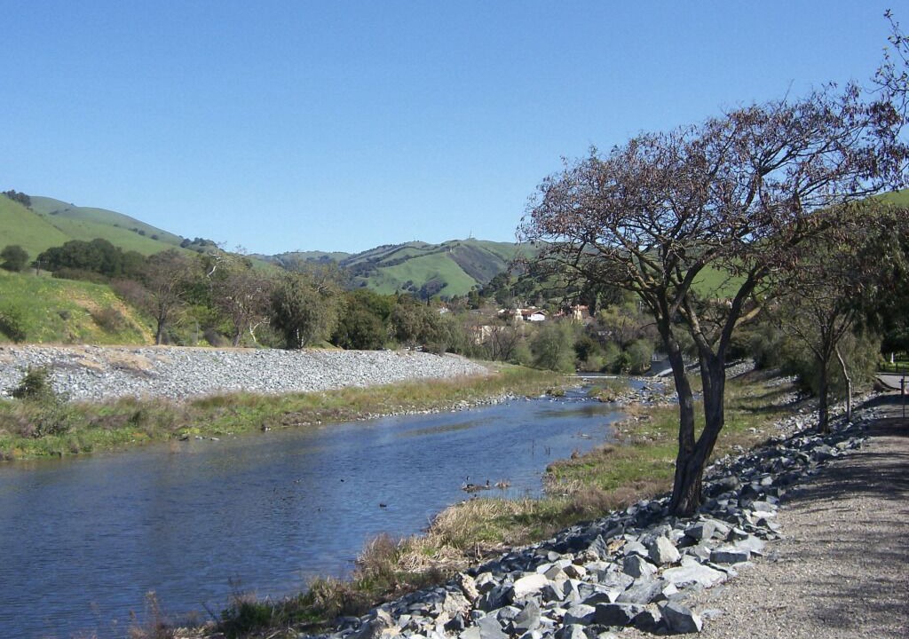Photo of Others in Fremont