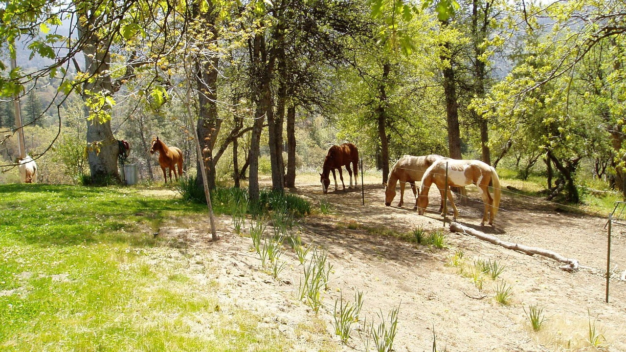 Photo of Others in Posey