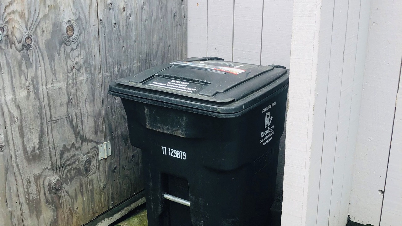 Photo of Outdoor in Belmont