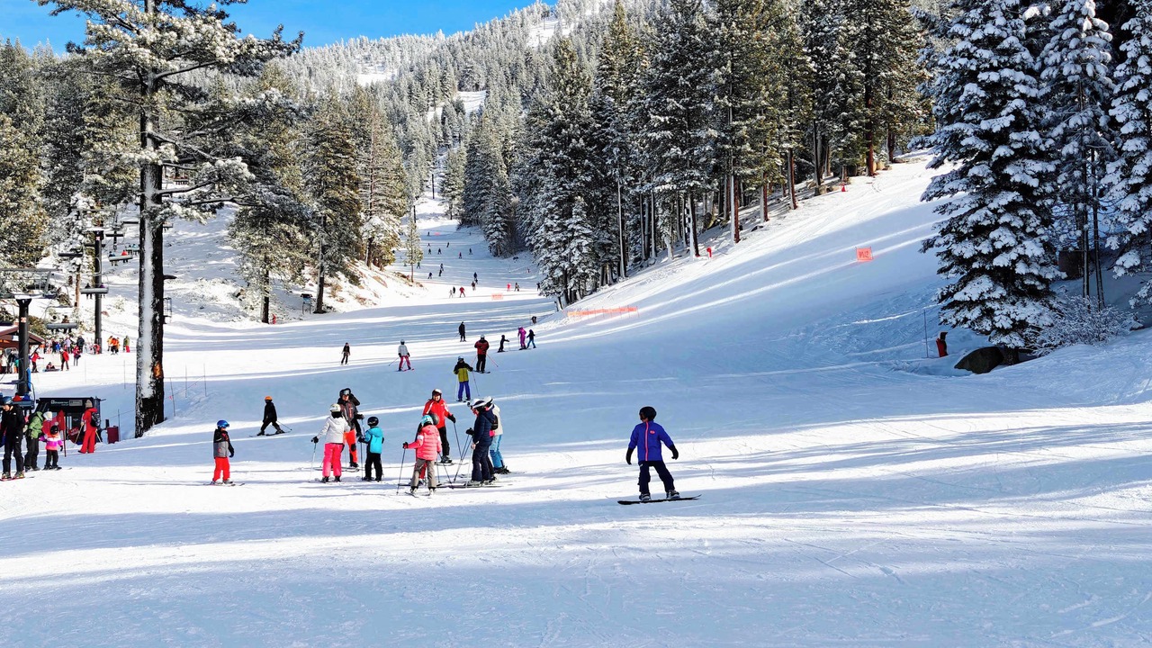 Photo of Others in Incline Village