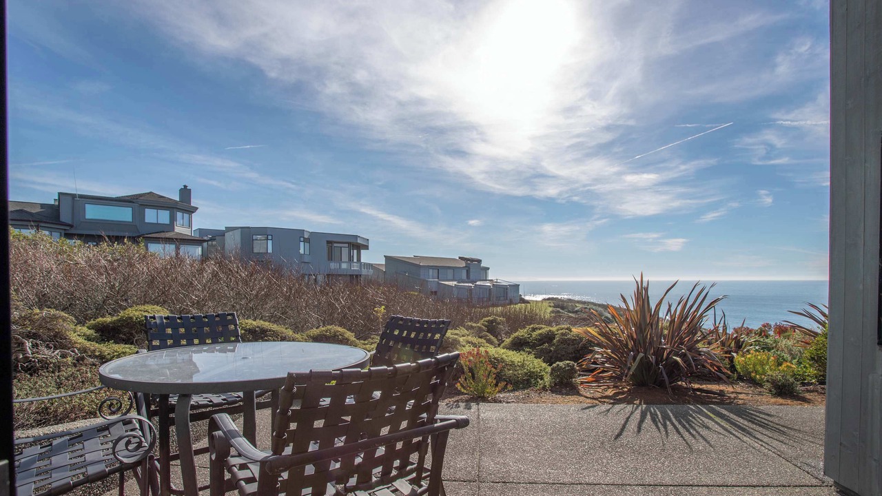 Photo of Others in Bodega Bay