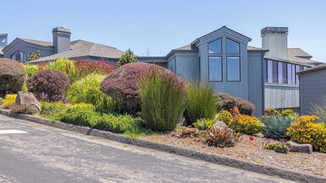 Photo of Outdoor in Bodega Bay