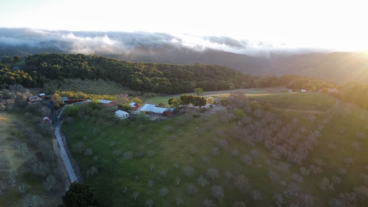 Photo of Outdoor in Templeton