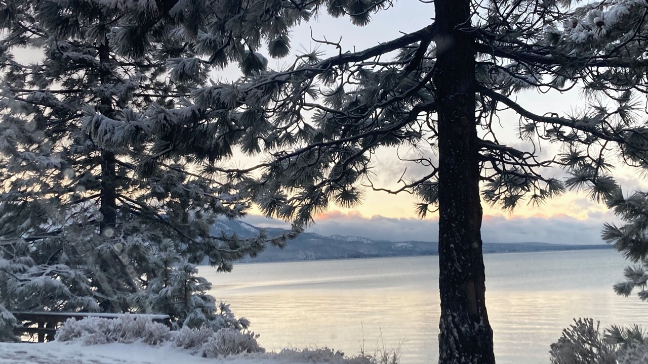 Photo of Others in Tahoe Village