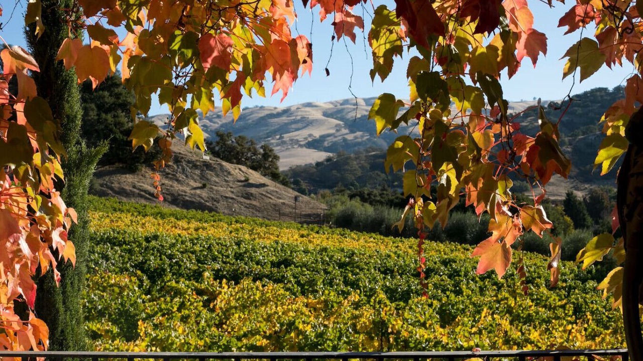 Photo of Outdoor in Salinas