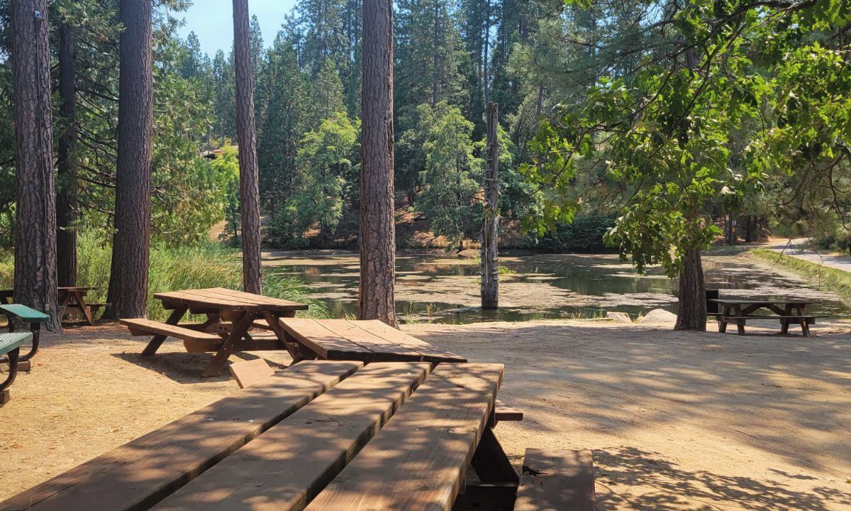 Photo of Outdoor in Oakhurst