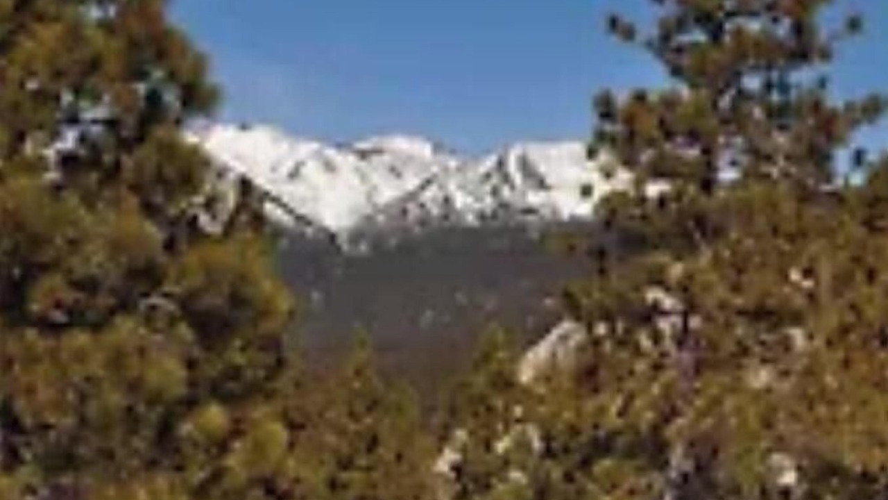 Photo of Others in Incline Village