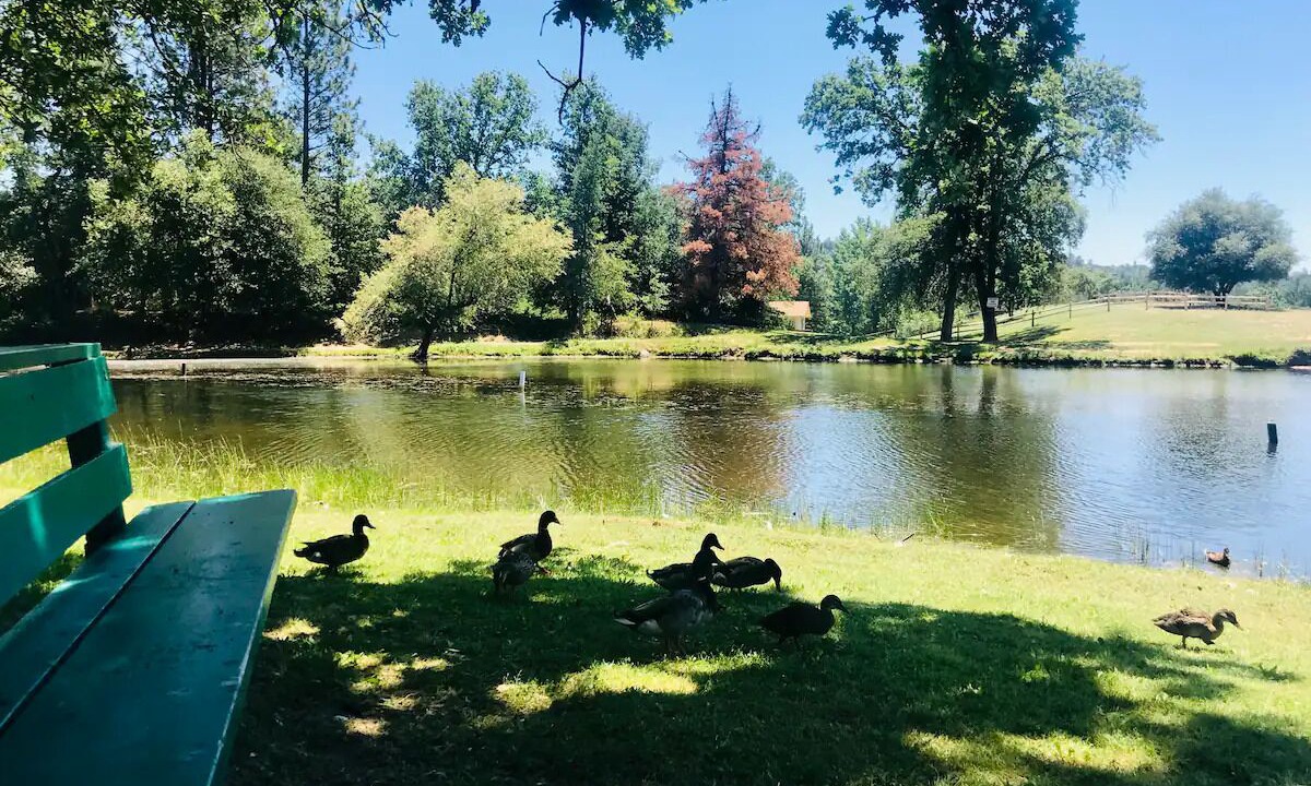 Photo of Others in Soulsbyville