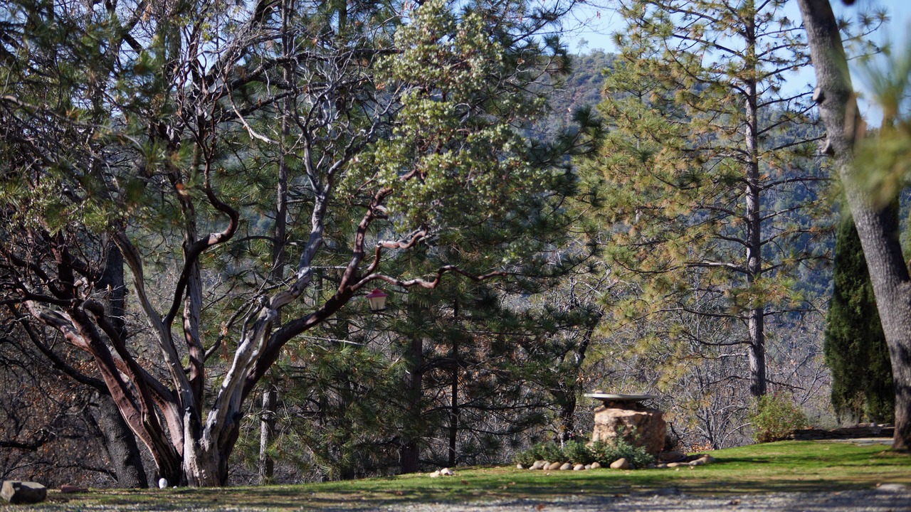 Photo of Others in Mariposa