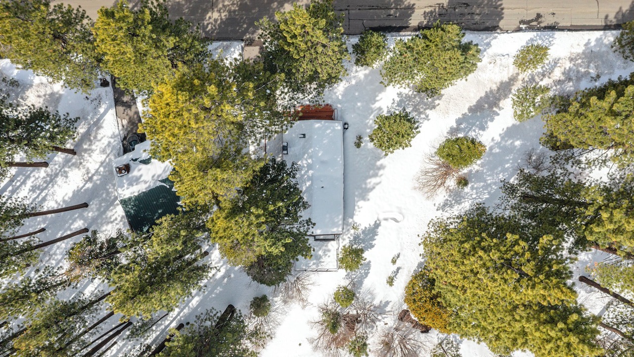 Photo of Outdoor in Incline Village