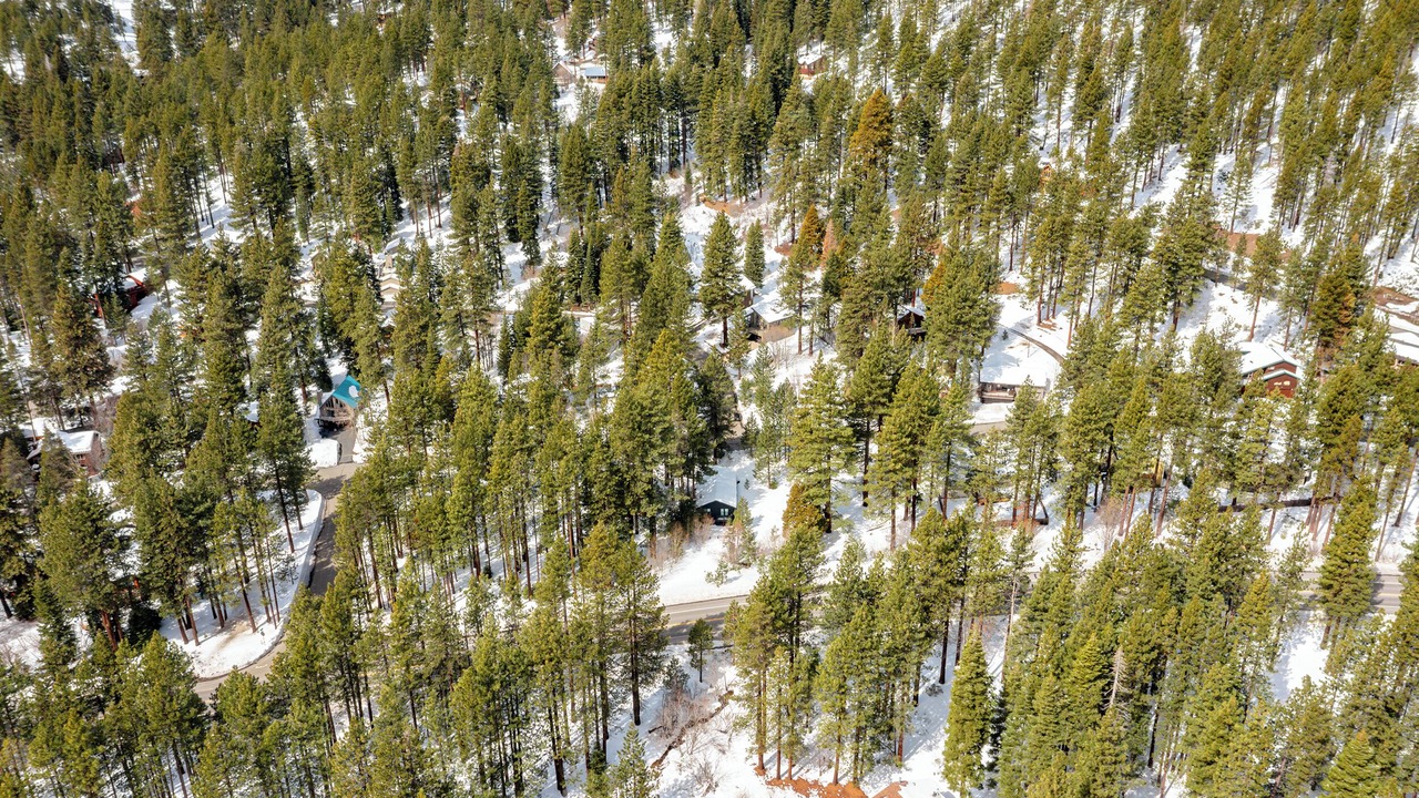Photo of Outdoor in Incline Village