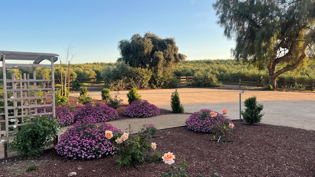 Photo of Outdoor in Byron