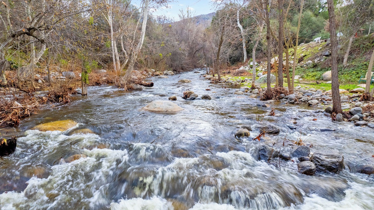 Photo of Others in Three Rivers