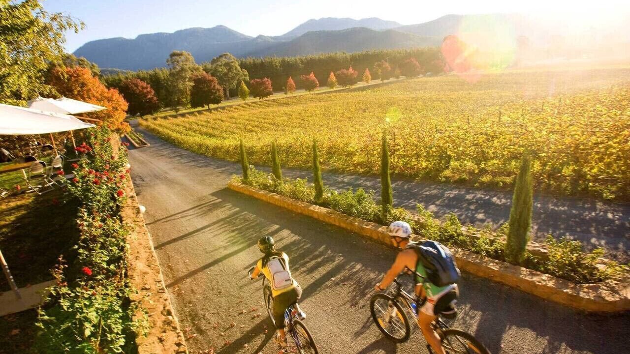 Photo of Others in Sonoma