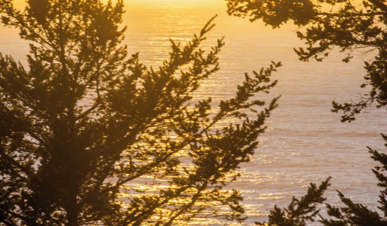 Photo of Others in Shelter Cove