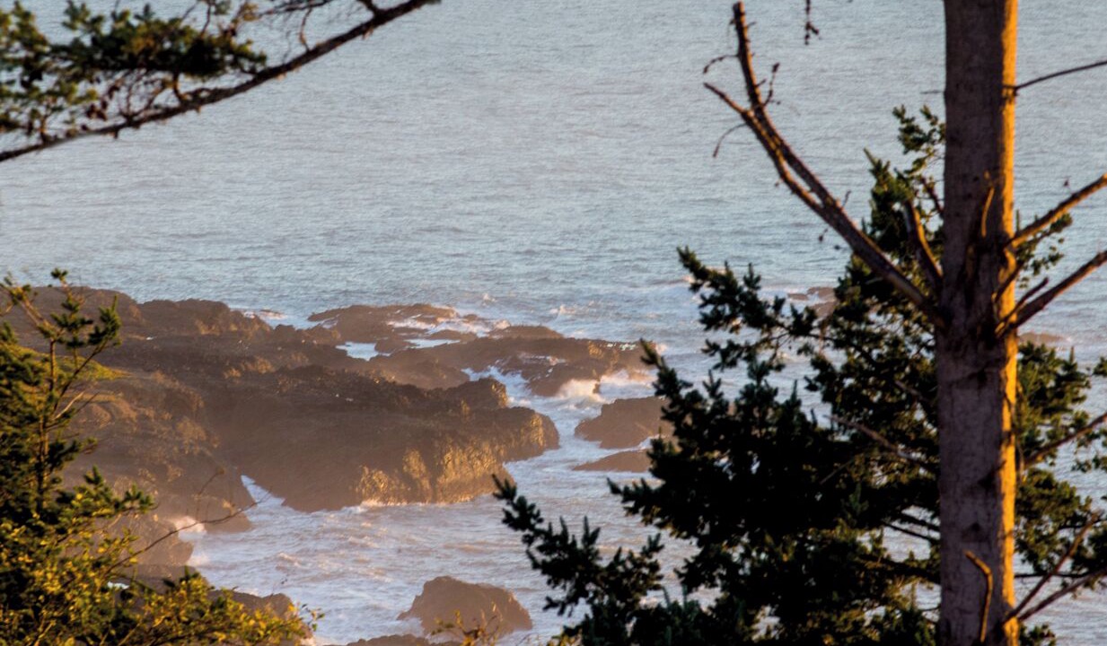 Photo of Others in Shelter Cove