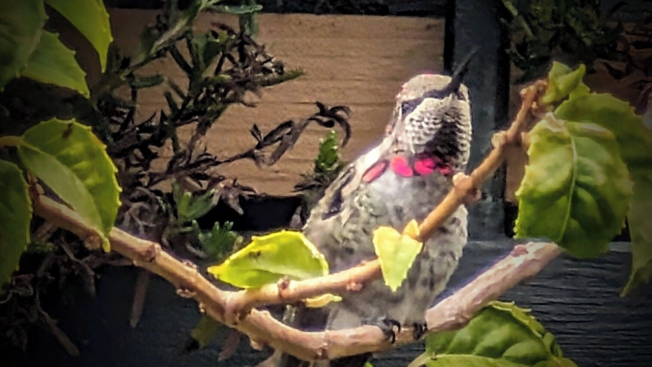 Photo of Outdoor in Marina District