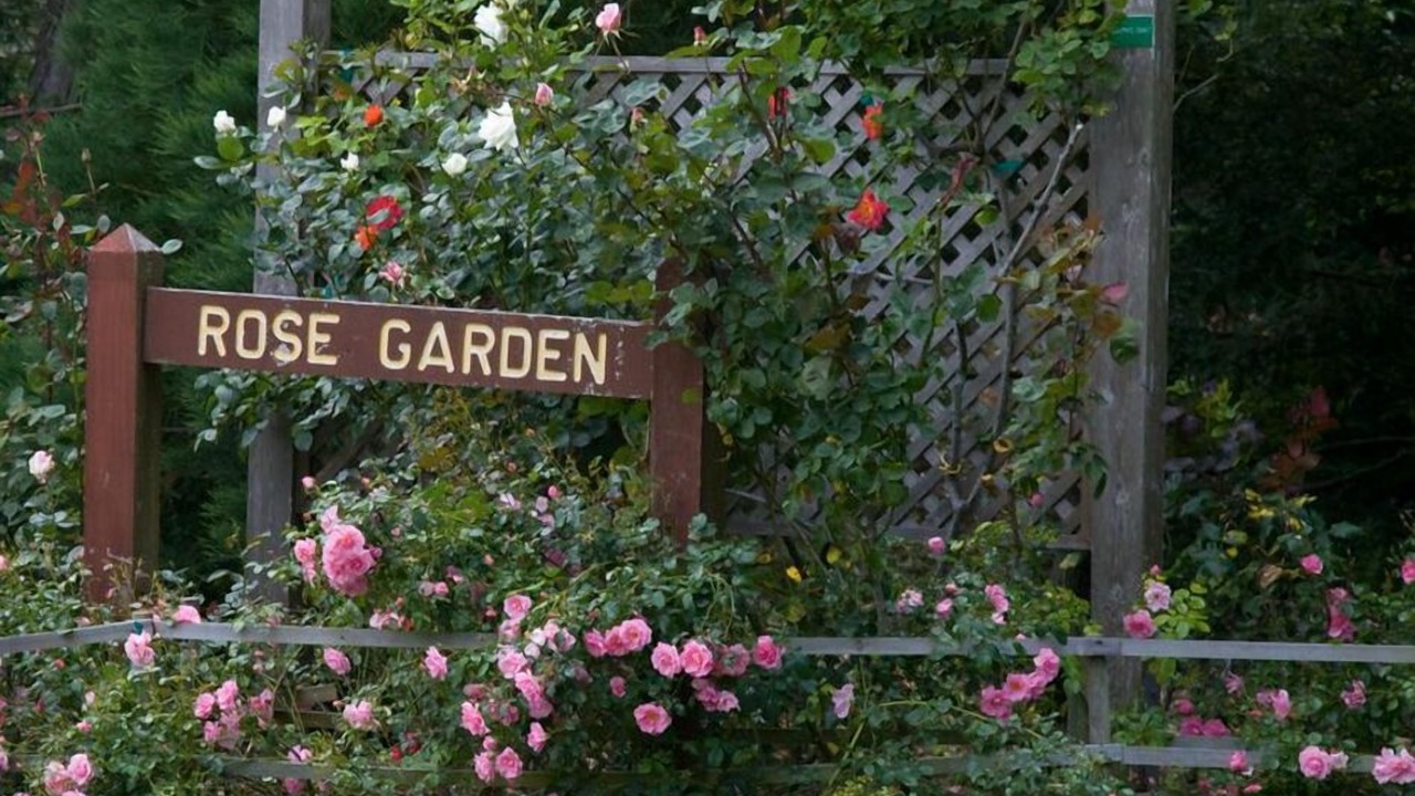 Photo of Outdoor in Inner Richmond