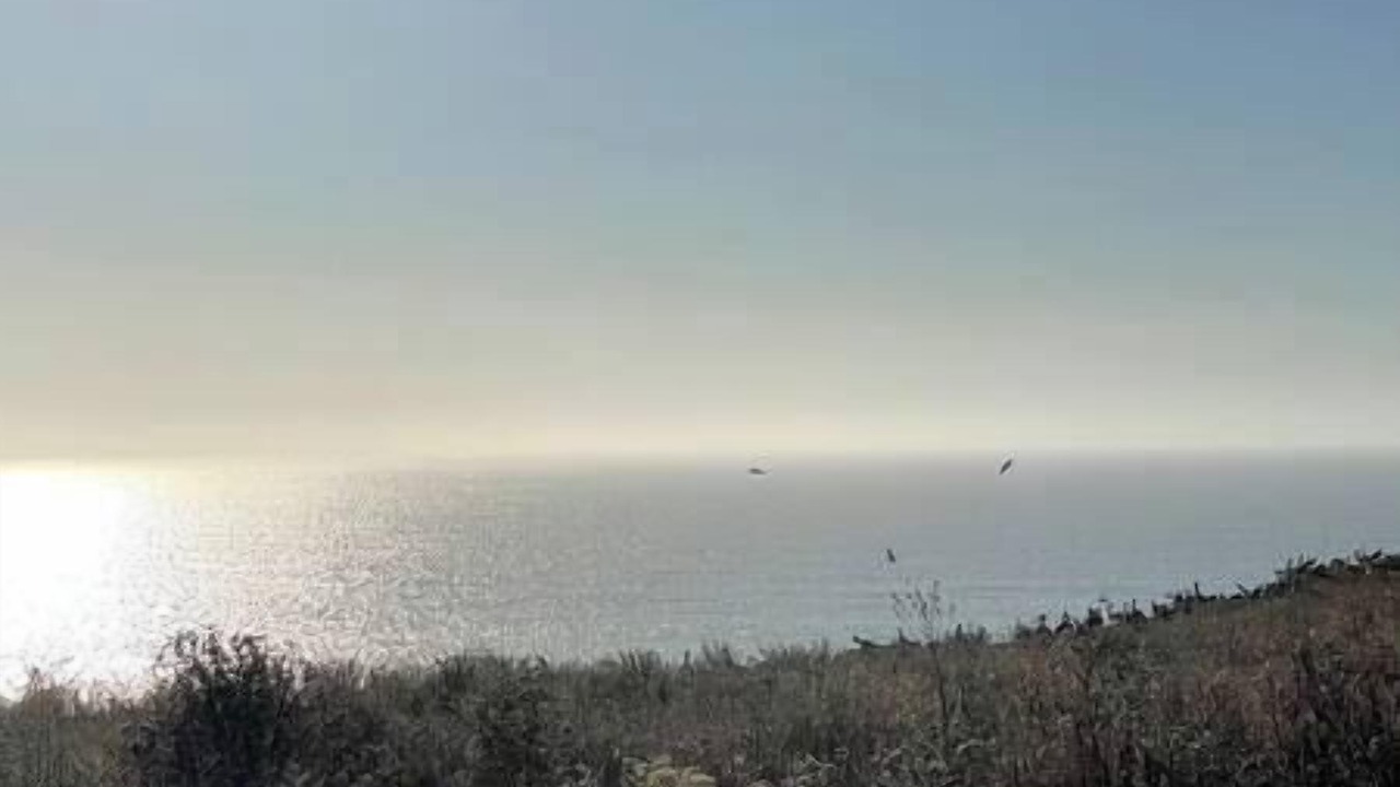Photo of Others in Half Moon Bay