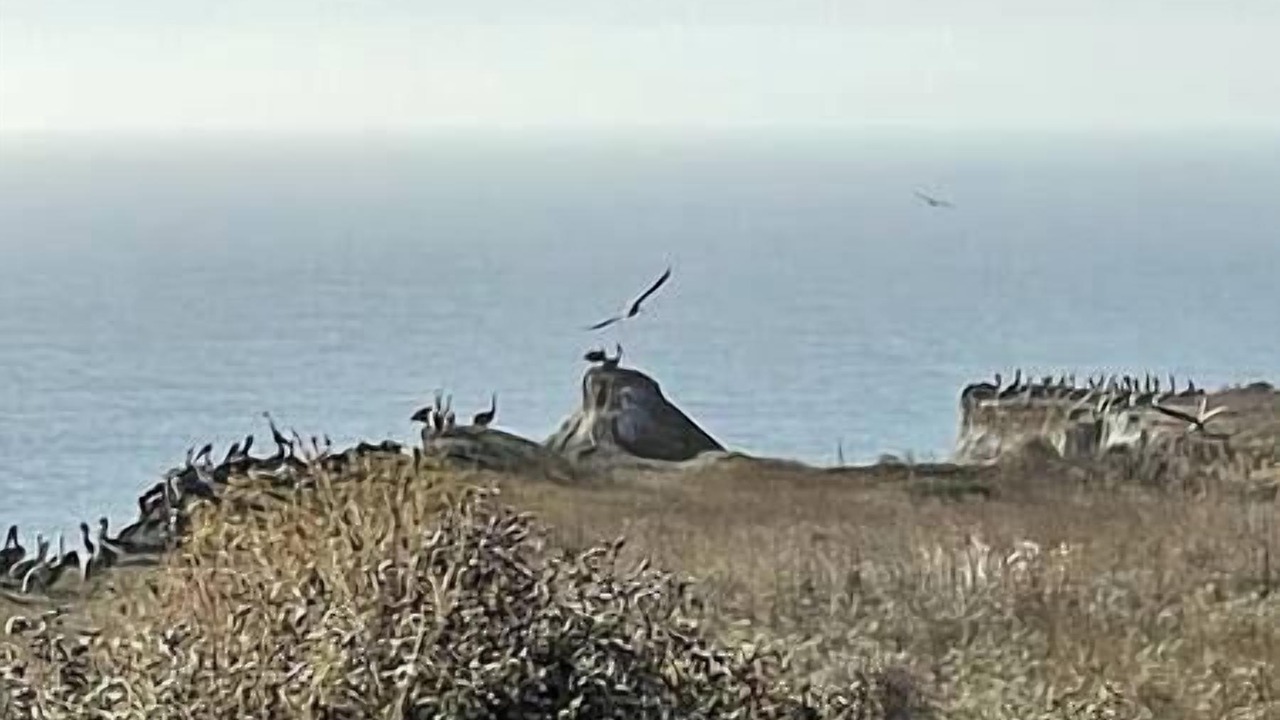 Photo of Others in Half Moon Bay