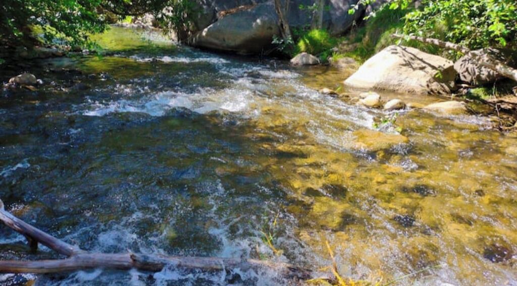Photo of Outdoor in Springville