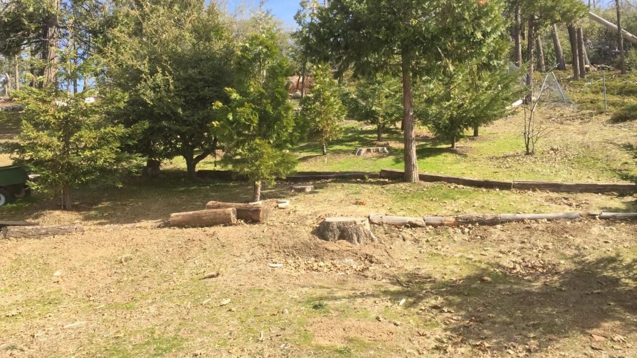 Photo of Outdoor in Auberry