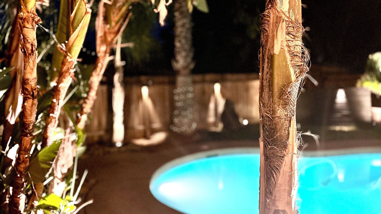 Photo of Outdoor in Raisin