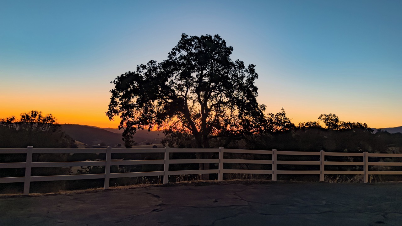 Photo of Others in Mariposa