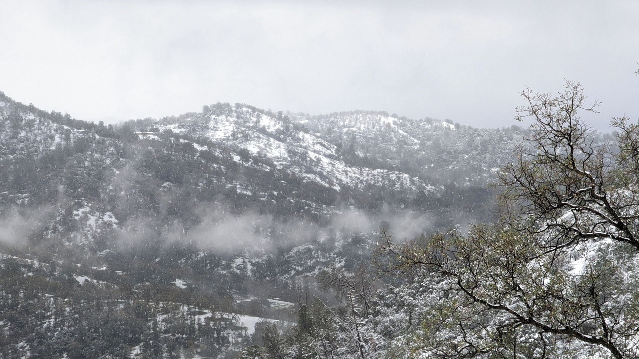 Photo of Others in Mariposa