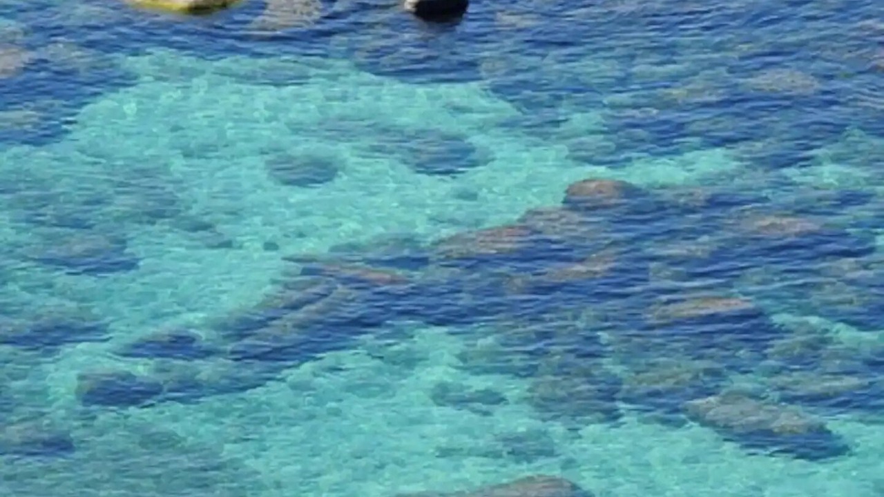 Photo of Outdoor in Kings Beach