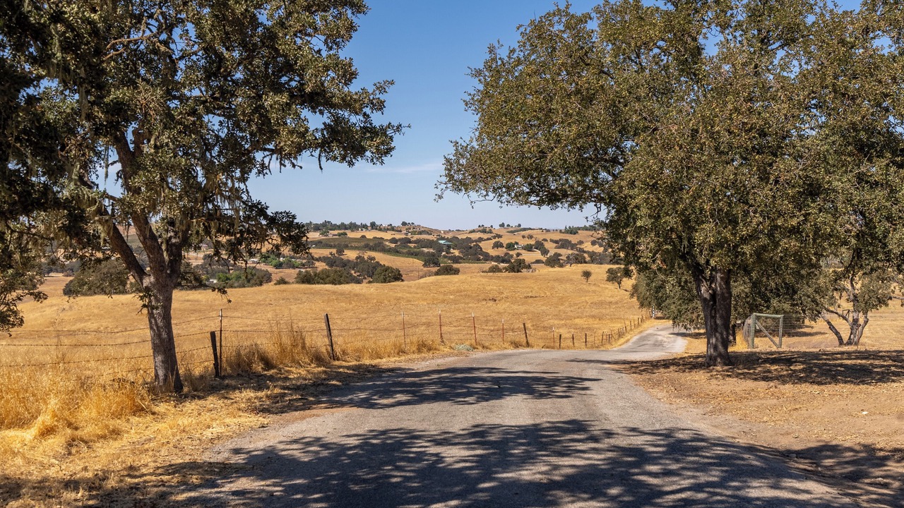 Photo of Others in Paso Robles